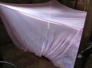 Mosquito net surrounding my bed.  Note the gecko poop on the top. 