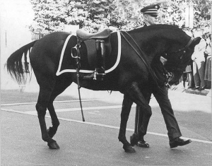 Riderless horse, JFK funeral procession